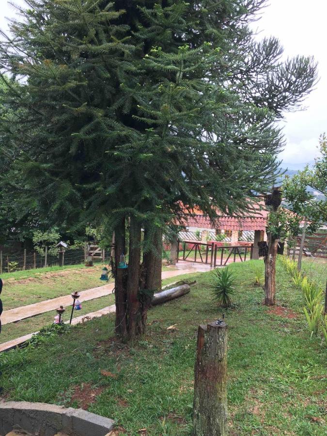 Casa De Campo Em Monte Verde , Linda Vista Para Montanhas Ngoại thất bức ảnh